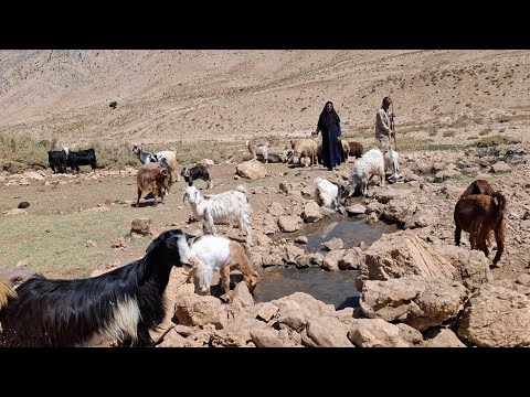 The life of IRAN nomads trying to preserve the environment
