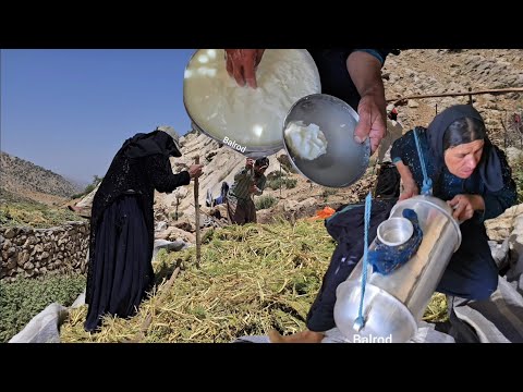 Iran Nomadic life Making butter with Maryam s efforts and