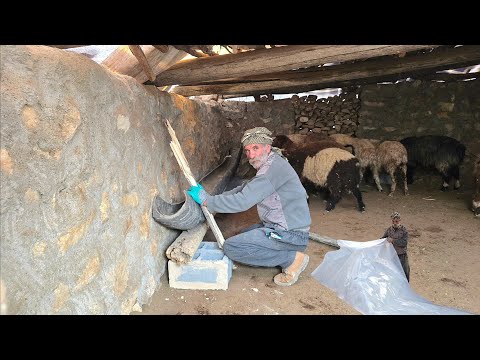 Jahangir s efforts to set up sheep pens and prepare fodder