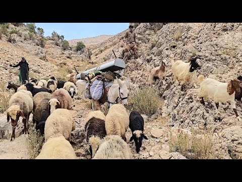 lran Nomadic Life Stories of Nomadic Migration and Iran s