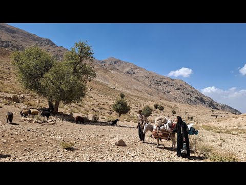 Iran nomadic life the migration of nomads to the bottom of
