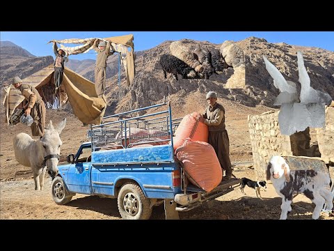 Iran nomadic life storing fodder and helping neighbors for