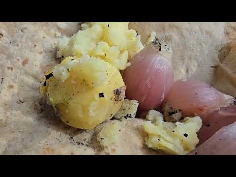 Adventure in the wild forests of Iran Harvesting oaks with