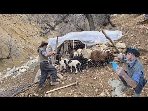 Iran nomadic life Reconstruction of the sheep shelter wall