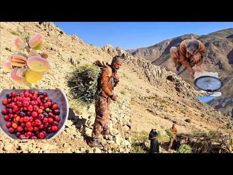 Jahangir s journey to the inaccessible mountains to gather