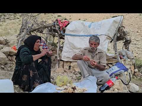 Nomadic Life Jahangir and Maryam s Effort to Build a