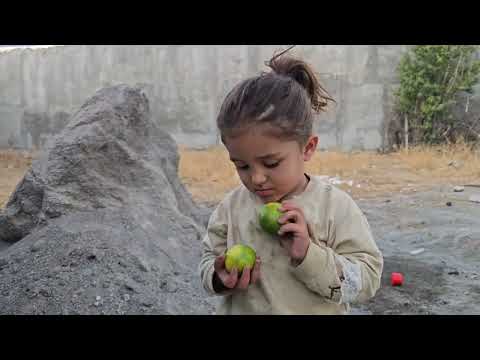 Nomadic Life Jahangir s Trip to the City to Buy Necessities