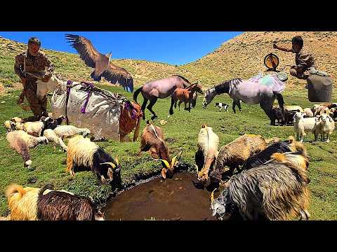 Life in the Heart of Zagros Traveling majestic peaks for