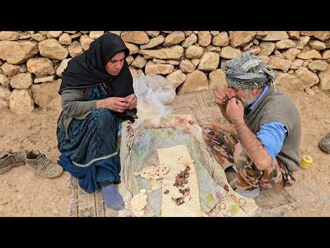 Iran nomadic life building a house for new lambs with