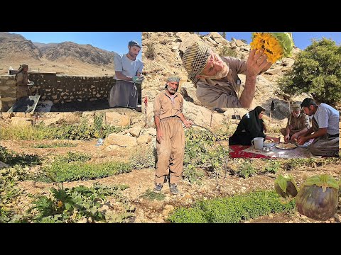 An adventurous day Cementing a sheep pen and irrigating a