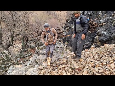 Nomadic life Jahangir and his son s efforts to graze sheep