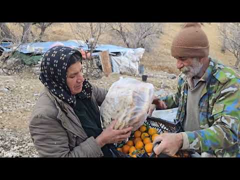Nomadic life Saving the herd when Reza bought provisions