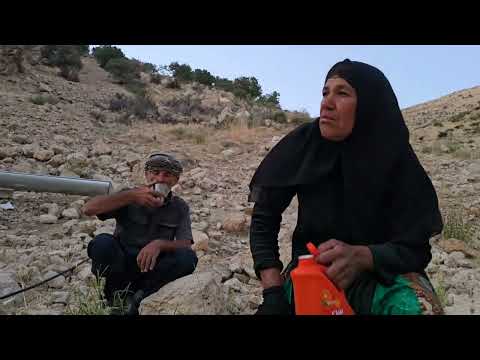 Nomadic Life Storing Firewood with Jahangir and Maryam s