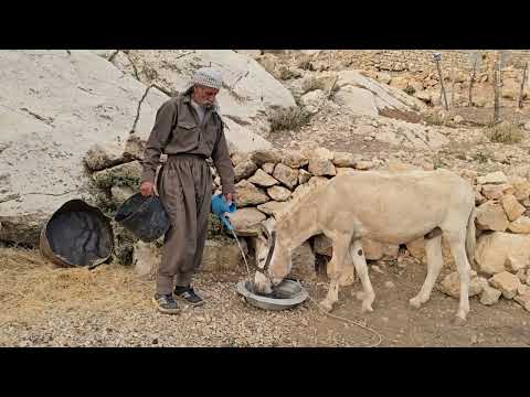 lran nomadic life Caring for trees and watering lush fields