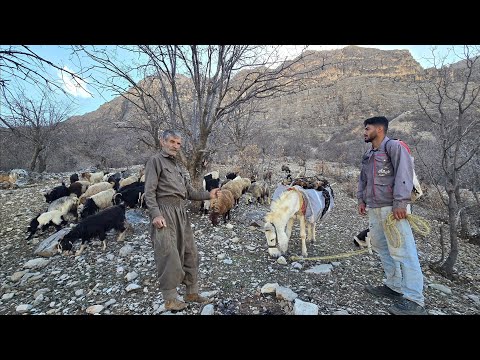 Nomadic challenges from herding sheep to bringing firewood