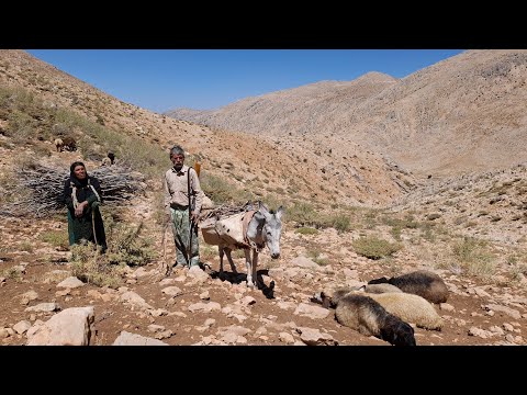 Iran nomadic life traveling to the mountains to fetch