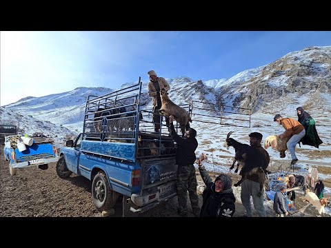 Nomadic Life When Winter Attacks Jahangir s Escape from the