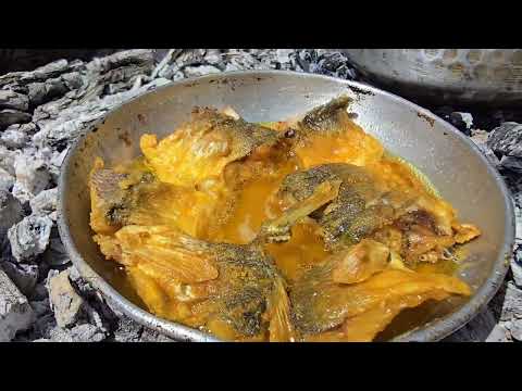 Iran nomadic Life An Exciting Trip to the Khersan River for