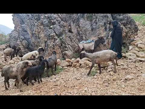 Under the rock the last way of salvation in a nomadic rainy
