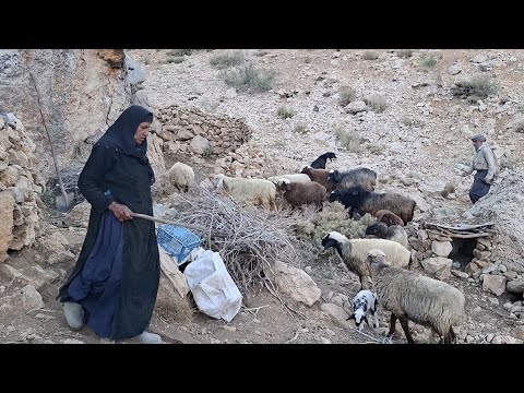 Iran nomadic life washing clothes in nature IRAN