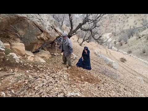 Start building a mountain hut