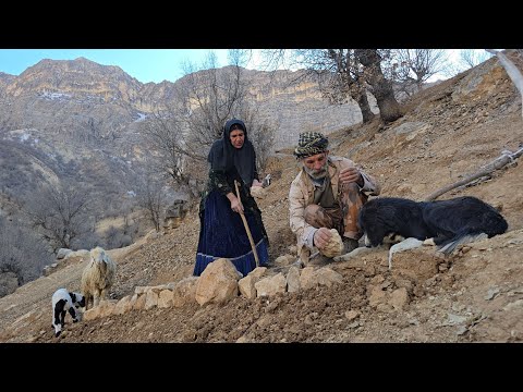 Iran s nomadic life construction of a shelter platform with
