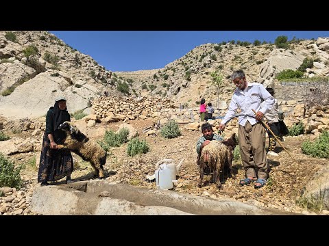Iran nomadic life The Balrod family s efforts to wash their