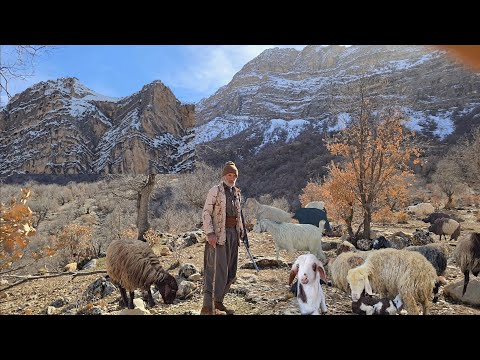 Nomadic life Jahangir and adventure in the snow capped