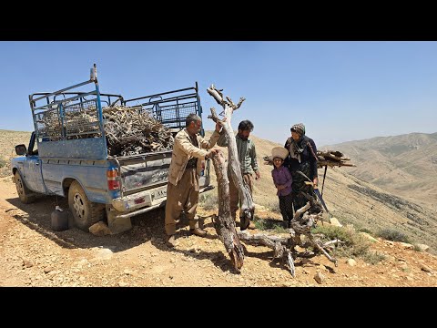 Suffering and love in the heart of Zagros a nomadic man and