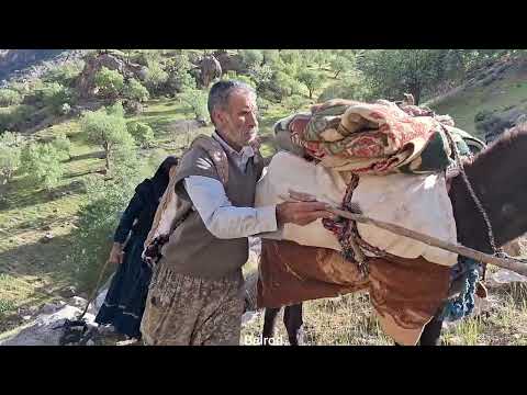Amazing Adventures Finding the Lost Mule to Return to the