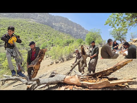 Nomadic life Chopping firewood for storage for nomadic