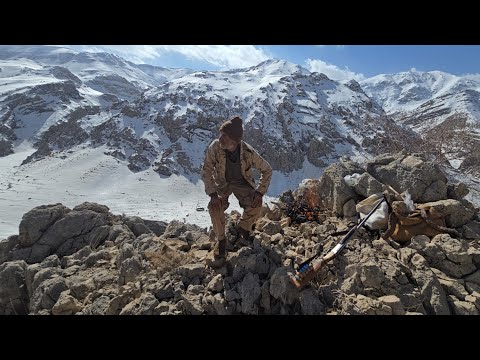 Nomadic life planting oaks in snowy mountains to picking