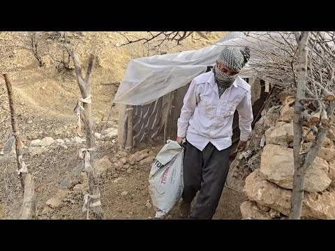 Iran nomadic life Jahangir s effort to clean the animal