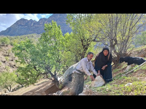 Building a Dream Cabin Finding Natural Stones for a