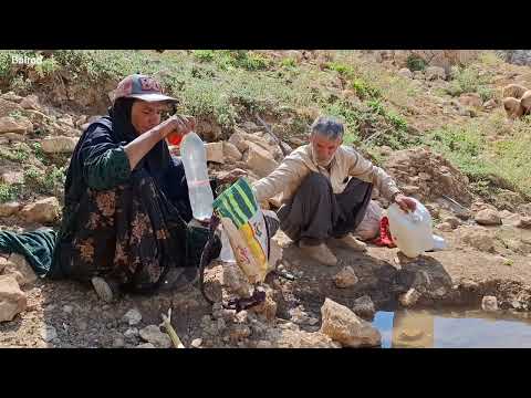 A trip to the mountains picking medicinal plants with