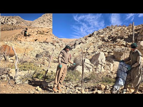 Nomadic life Jahangir and the farm fence and the completion
