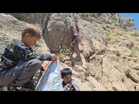 Natural food of nomads searching for edible plants in the