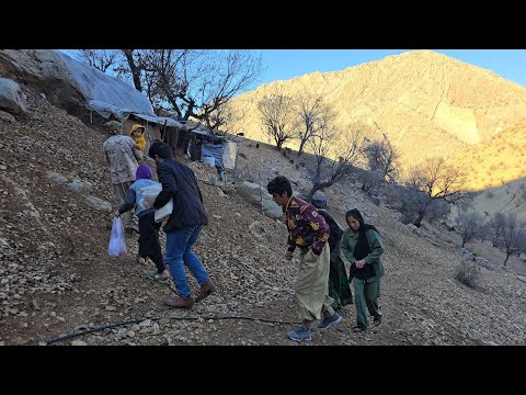 Jahangir s family visiting the mountain house and carpeting
