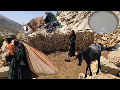 Iran Nomadic Life Cleaning Sheep Shelters and Cooking with