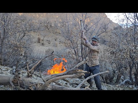 Iran nomadic life Jahangir s journey to the heart of the