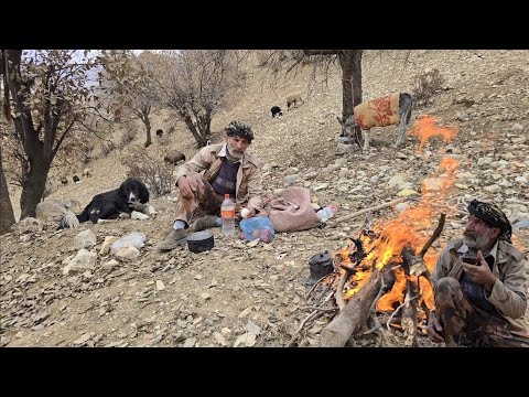 Iran nomadic life Jahangir s pure journey to graze sheep in