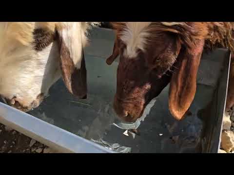Iran nomadic life Starting construction inside the kitchen