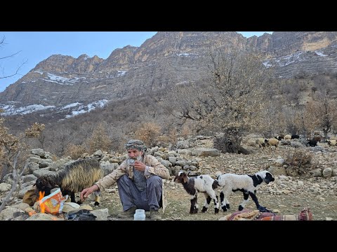 Iran nomadic life Jahangir s journey to the snowy mountains