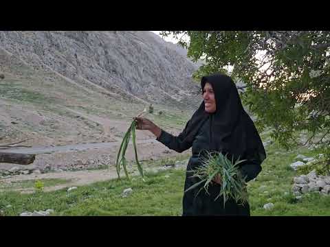 The brave nomadic man s migration to Sardsir Nomadic life