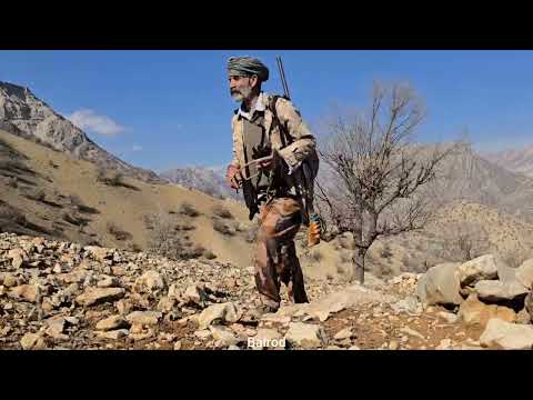 The nomadic life of Iran Jahangir s journey to the top of