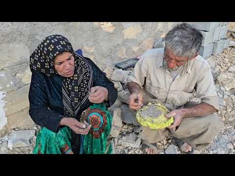 Jahangir s Endless Efforts for His Nomadic Life in the
