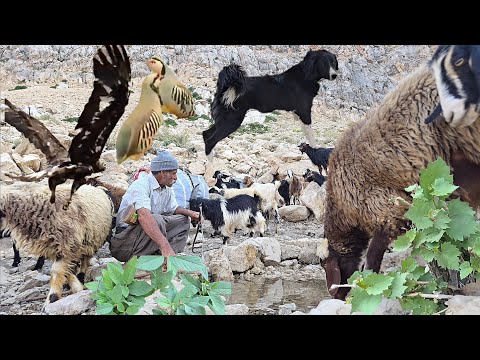 The grueling mountain trails The story of Jahangir s