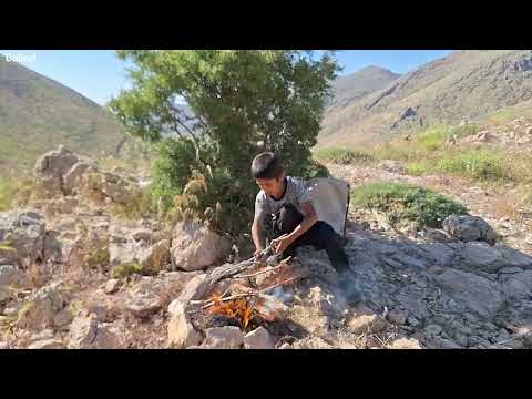 Ramin takes his grandfather s sheep to the mountains for
