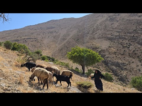 lran Nomadic Life A Nomadic Woman s Journey into the