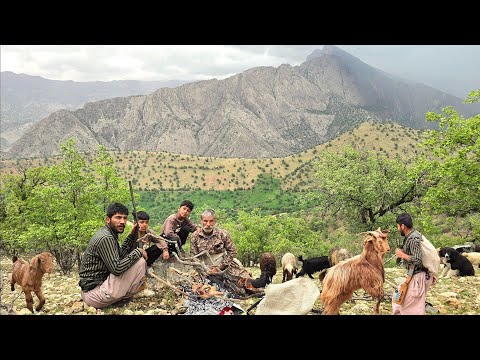 Jahangir s Adventure Traveling to lush oak forests for